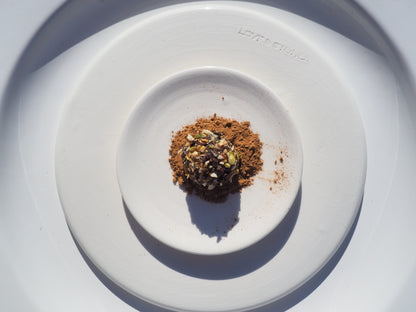 BALANCE – A bite with date, cashew, almonds, pistachio, pumpkin seed, chia seed, salt, 70% dark chocolate and Reishi
